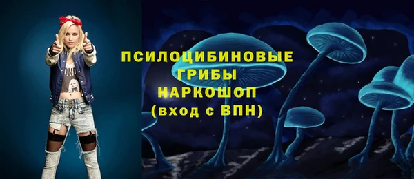 ГАЛЛЮЦИНОГЕННЫЕ ГРИБЫ Переславль-Залесский