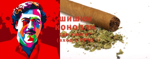 спиды Осинники