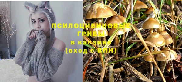 спиды Осинники