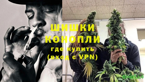 ГАЛЛЮЦИНОГЕННЫЕ ГРИБЫ Переславль-Залесский