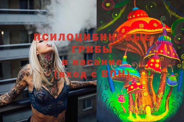мет Осташков