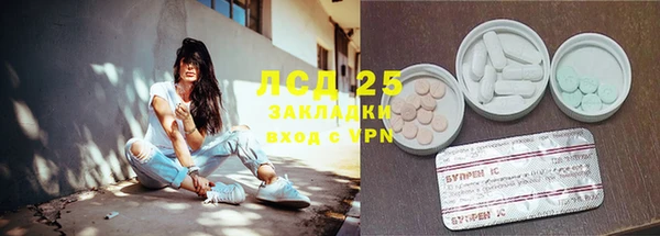 ГАЛЛЮЦИНОГЕННЫЕ ГРИБЫ Переславль-Залесский