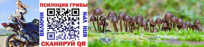 Галлюциногенные грибы GOLDEN TEACHER Ленинградская