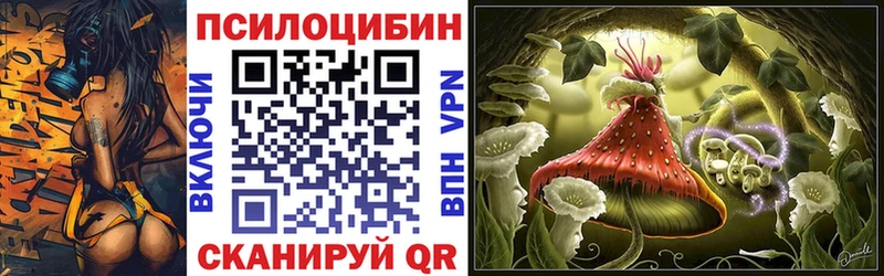 Псилоцибиновые грибы Psilocybine cubensis  Ленинградская 